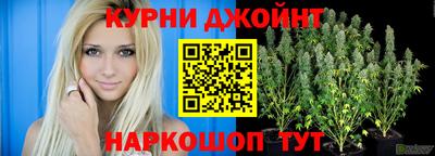 PSILOCYBIN Тверь