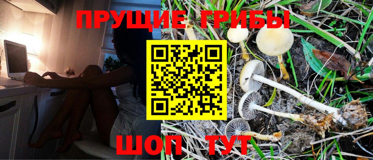 Галлюциногенные грибы мицелий  Галлюциногенные грибы Magic Shrooms  Вход с VPN  Октябрьский 